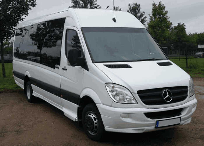 Didelis mikroautobusas